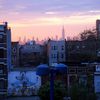 Interactive Map Shows Which NYC Neighborhoods Are Most Rent Burdened